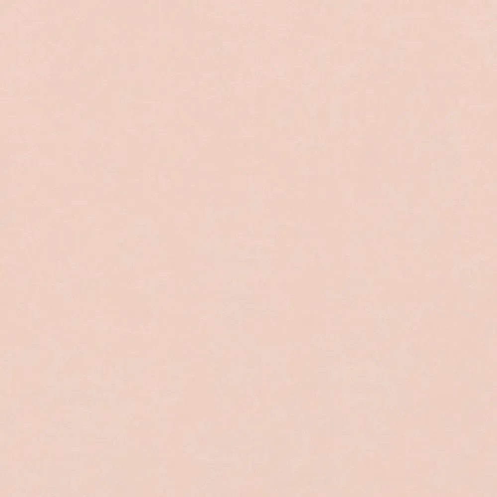Shell Pink